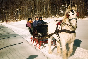 Loon Meadow Farm - sleigh rides