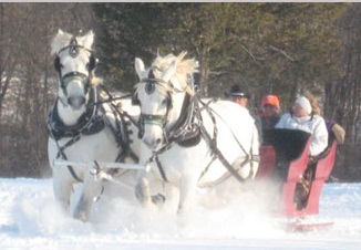 Cedar knoll sleigh rides