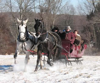 Allegra Farm - sleigh rides 