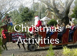 Silveyville Pumpkin and Christmas Tree Farm