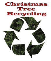 How to Recycle or Dispose of Christmas Trees