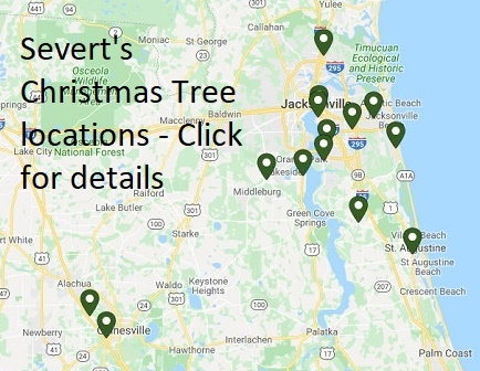 Severts Christmas Tree Farm
