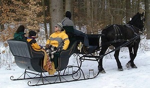 Charmingfare farm sleigh rides