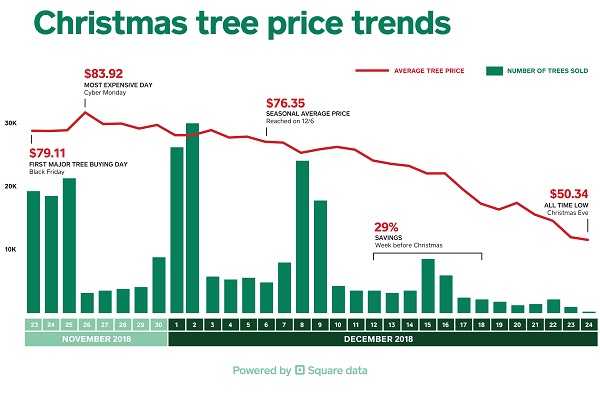 Square's Christmas Tree Price Trends